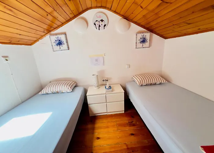 White House Hostel *