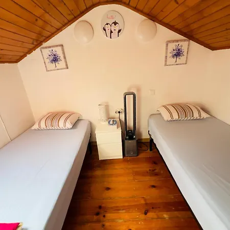 Hostel White House *