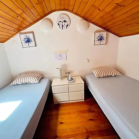 Hostel White House *