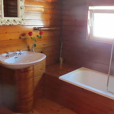 ホステル White House