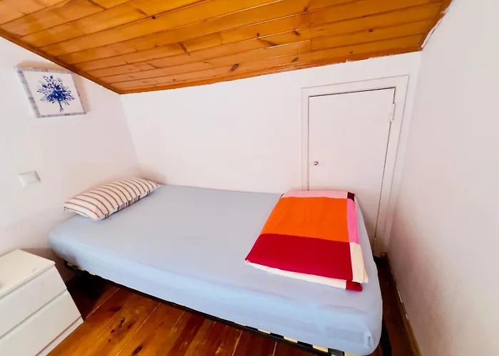 Hostel White House *