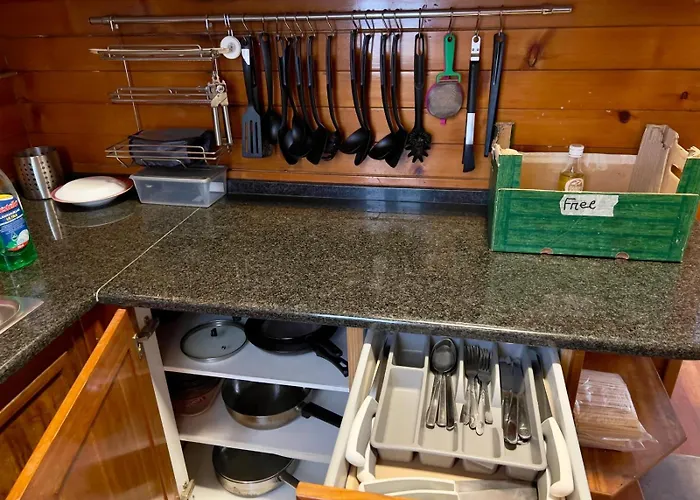 White House بيت شباب