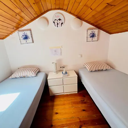 White House Hostel *