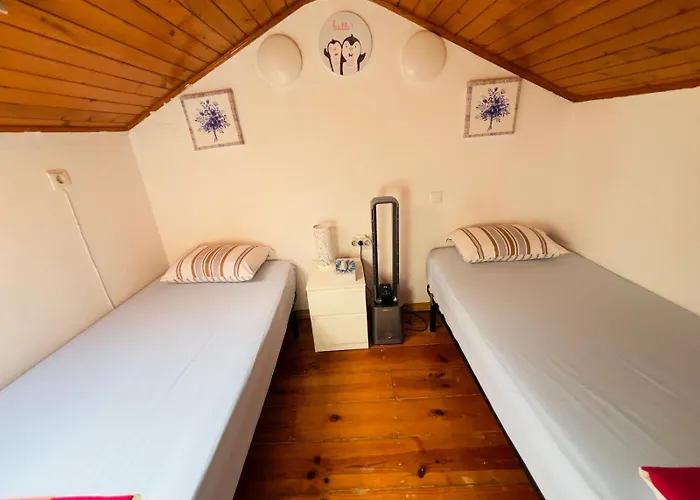 Hostel White House *